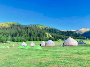 Green Yurt Camp